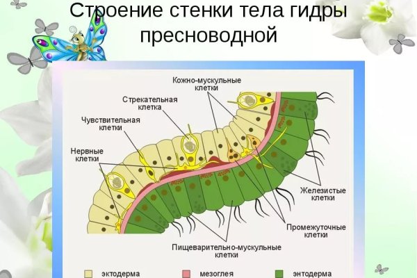 Ссылка кракен зеркало тор