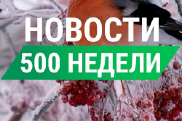 Почему не заходит на кракен